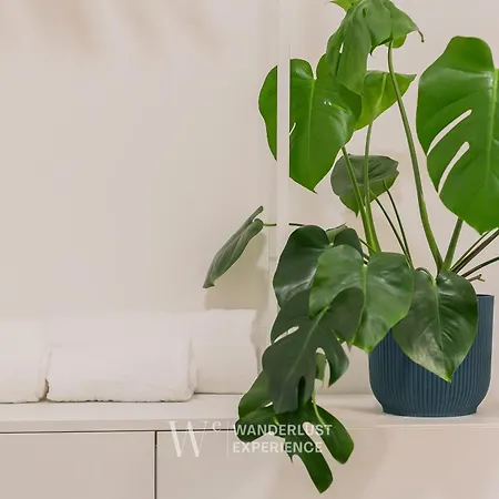 Lägenhet Wanderlust Experience Frankly Bari