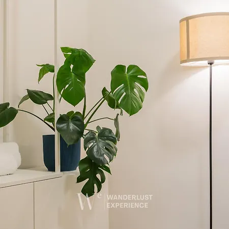 Wanderlust Experience Frankly *