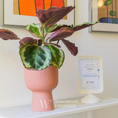 Wanderlust Experience Frankly