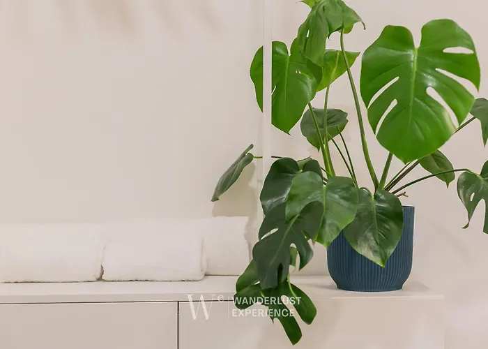 Apartment Wanderlust Experience Frankly Bari