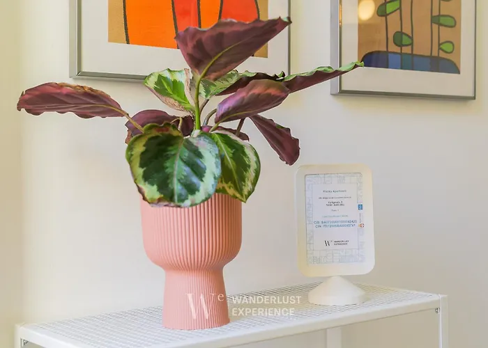 Wanderlust Experience Frankly