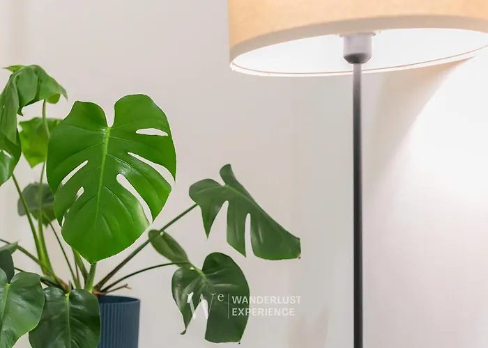 Apartment Wanderlust Experience Frankly *